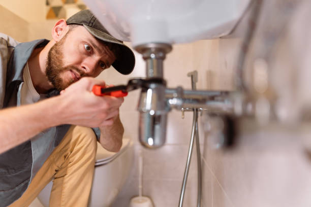 Best Sprinkler Systems  in Roscoe, IL