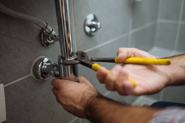 Best Best Plumbers Near Me  in Roscoe, IL