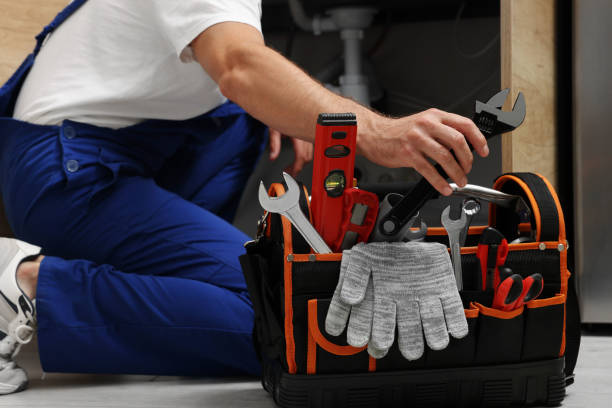 Best Same-Day Plumbing Service  in Roscoe, IL