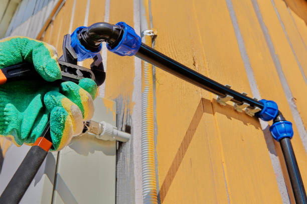 Best Local Plumber Services  in Roscoe, IL
