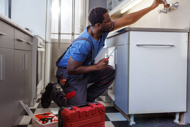 Best Septic Systems  in Roscoe, IL