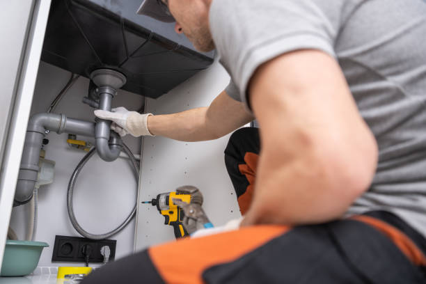 Best Septic Systems  in Roscoe, IL