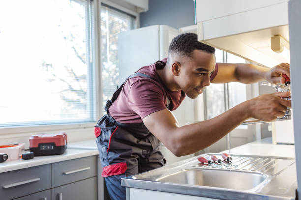 Best Clogged Drain Plumber  in Roscoe, IL