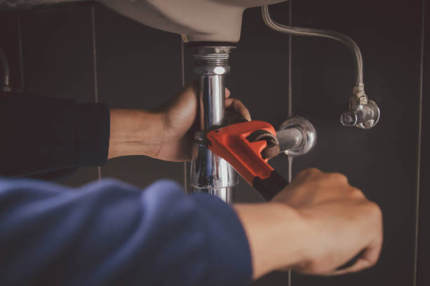Best Drain Cleaning Services  in Roscoe, IL