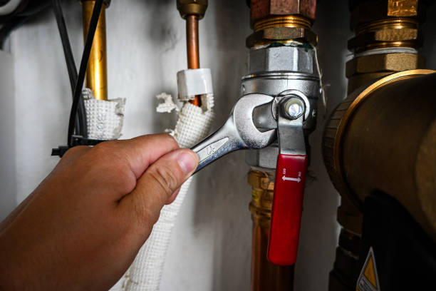 Best Clogged Drain Plumber  in Roscoe, IL